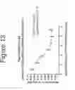 Fig. 14 - Growth differentiation factor 15 (GDF-15) constructs
