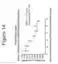 Fig. 15 - Growth differentiation factor 15 (GDF-15) constructs