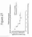 Fig. 22 - Growth differentiation factor 15 (GDF-15) constructs