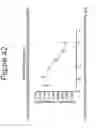 Fig. 43 - Growth differentiation factor 15 (GDF-15) constructs