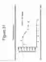 Fig. 52 - Growth differentiation factor 15 (GDF-15) constructs