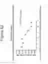Fig. 53 - Growth differentiation factor 15 (GDF-15) constructs