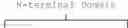 Fig. 11 - Methods of using compositions comprising variants and fusions of FGF19 polypeptides for modulating bile acid homeostasis in a subject having cholestasis