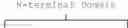 Fig. 11 - Methods of using compositions comprising variants and fusions of FGF19 polypeptides for modulating bile acid homeostasis in a subject having primary sclerosing cholangitis