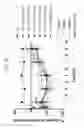 Fig. 31 - Methods of treating of diabetes and obesity using FGF21 mutants