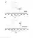 Fig. 02 - PROCESS FOR PREPARING AMPHIPHILIC PEPTIDE DERIVATIVES