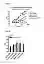Fig. 05 - GRAM-POSITIVE BACTERIA SPECIFIC BINDING COMPOUNDS