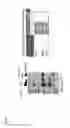 Fig. 27 - GRAM-POSITIVE BACTERIA SPECIFIC BINDING COMPOUNDS