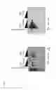 Fig. 28 - GRAM-POSITIVE BACTERIA SPECIFIC BINDING COMPOUNDS