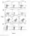 Fig. 08 - Cellular factors involved in the cytotoxicity of leukocidins: novel therapeutic targets