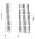 Fig. 02 - Methods for isolating antibodies that bind sclerostin