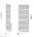 Fig. 03 - Methods for isolating antibodies that bind sclerostin