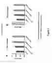 Fig. 06 - Methods for isolating antibodies that bind sclerostin