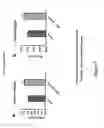 Fig. 08 - Methods for isolating antibodies that bind sclerostin