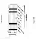 Fig. 19 - Methods for isolating antibodies that bind sclerostin