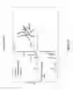 Fig. 21 - Methods for isolating antibodies that bind sclerostin