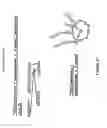 Fig. 22 - Methods for isolating antibodies that bind sclerostin