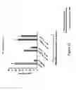Fig. 23 - Methods for isolating antibodies that bind sclerostin