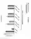 Fig. 25 - Methods for isolating antibodies that bind sclerostin