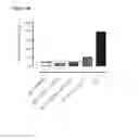 Fig. 26 - Humanized or chimeric CD3 antibodies