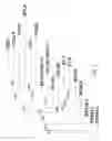 Fig. 07 - Regulatory T cell mediator proteins and uses thereof