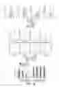 Fig. 19 - Regulatory T cell mediator proteins and uses thereof