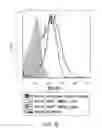 Fig. 24 - Regulatory T cell mediator proteins and uses thereof