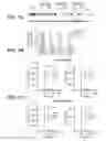 Fig. 11 - Anti-FGFR3 antibodies and methods using same