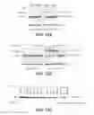 Fig. 19 - Anti-FGFR3 antibodies and methods using same