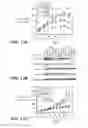 Fig. 20 - Anti-FGFR3 antibodies and methods using same
