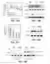 Fig. 30 - Anti-FGFR3 antibodies and methods using same