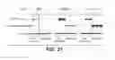 Fig. 32 - Anti-FGFR3 antibodies and methods using same