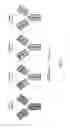 Fig. 04 - RNA-CODED ANTIBODY