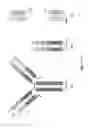 Fig. 06 - RNA-CODED ANTIBODY