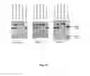 Fig. 20 - RNA-CODED ANTIBODY