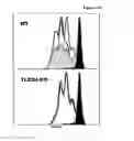 Fig. 20 - Molecules that bind CD180, compositions and methods of use