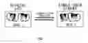Fig. 02 - Pharmaceutical compositions containing sc(Fv)2