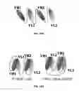 Fig. 12 - Pharmaceutical compositions containing sc(Fv)2