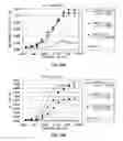 Fig. 22 - Pharmaceutical compositions containing sc(Fv)2