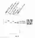 Fig. 32 - Pharmaceutical compositions containing sc(Fv)2