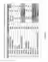 Fig. 42 - Method of treating cancer with an EGFR targeted immunomodulatory fusion protein