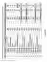 Fig. 44 - Method of treating cancer with an EGFR targeted immunomodulatory fusion protein