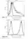 Fig. 12 - IMMUNO-PET IMAGING OF ANTIBODIES AND IMMUNOCONJUGATES AND USES THEREFOR