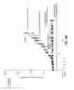 Fig. 15 - IMMUNO-PET IMAGING OF ANTIBODIES AND IMMUNOCONJUGATES AND USES THEREFOR