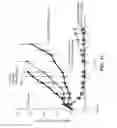 Fig. 18 - IMMUNO-PET IMAGING OF ANTIBODIES AND IMMUNOCONJUGATES AND USES THEREFOR