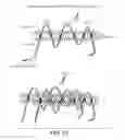 Fig. 19 - IMMUNO-PET IMAGING OF ANTIBODIES AND IMMUNOCONJUGATES AND USES THEREFOR
