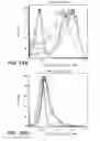 Fig. 28 - IMMUNO-PET IMAGING OF ANTIBODIES AND IMMUNOCONJUGATES AND USES THEREFOR