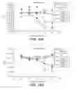 Fig. 31 - IMMUNO-PET IMAGING OF ANTIBODIES AND IMMUNOCONJUGATES AND USES THEREFOR