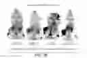 Fig. 52 - IMMUNO-PET IMAGING OF ANTIBODIES AND IMMUNOCONJUGATES AND USES THEREFOR