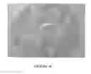 Fig. 06 - Antibodies to MUC16 and methods of use thereof